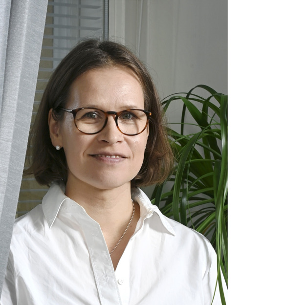 Maija Lönnqvist, TEM